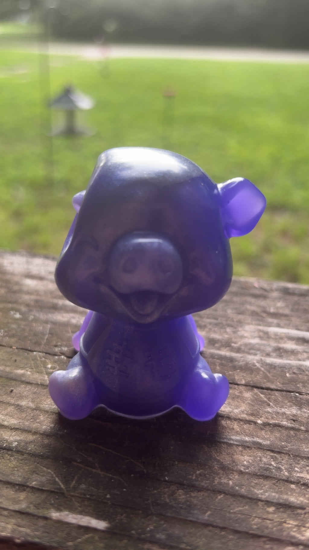 Delilah the Pig