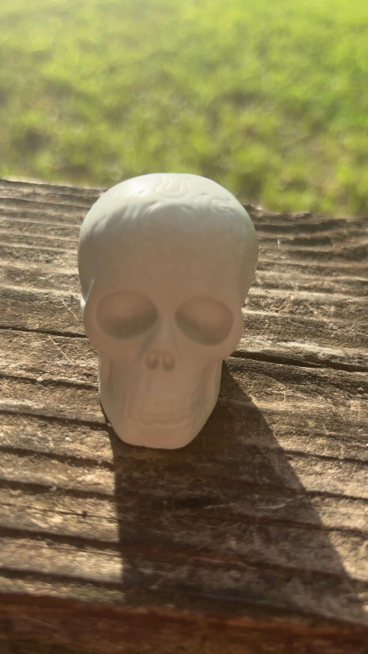 Ivory