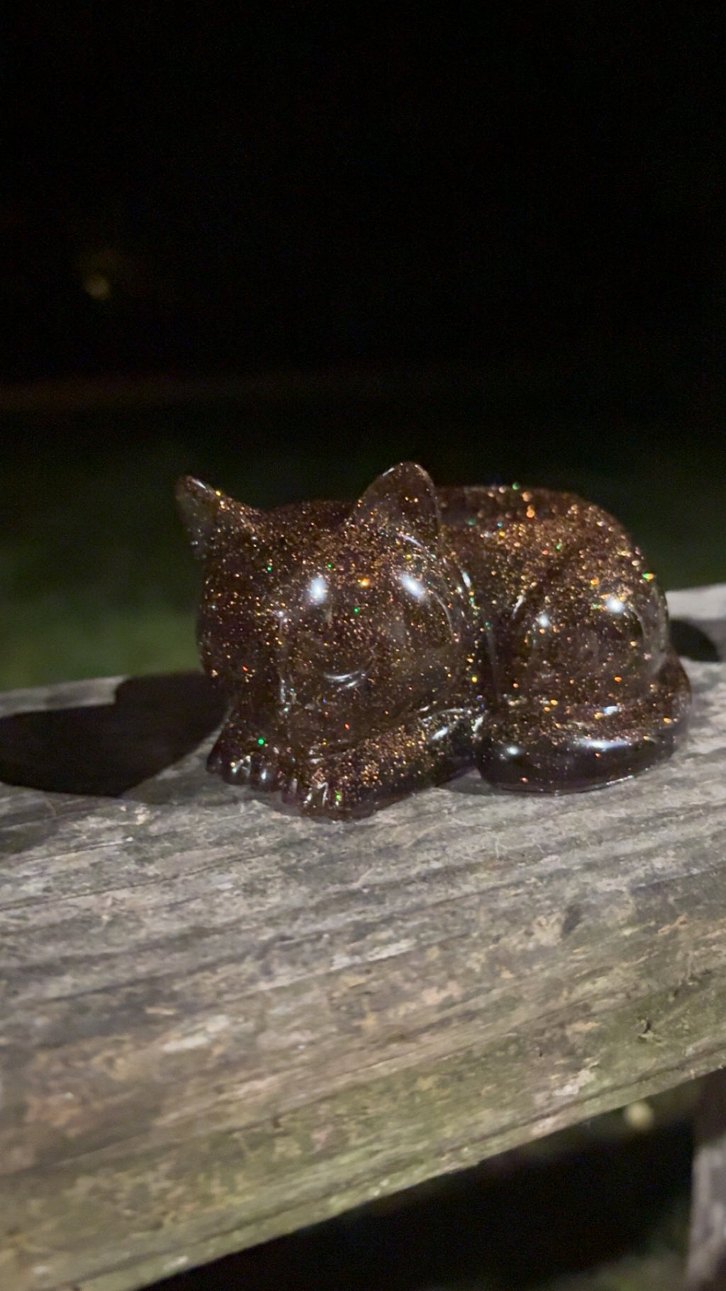 Halloween Cat