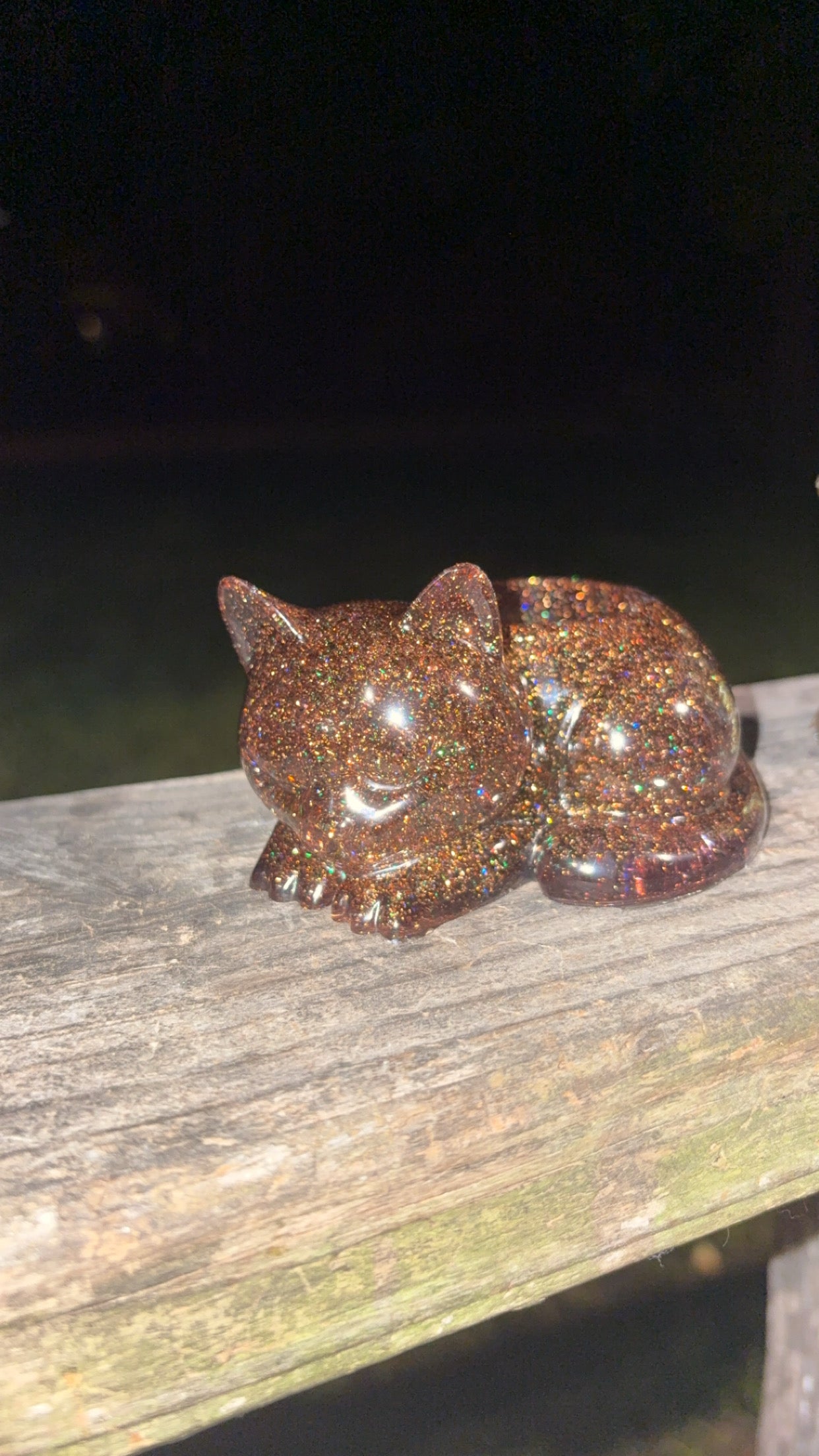Halloween Cat