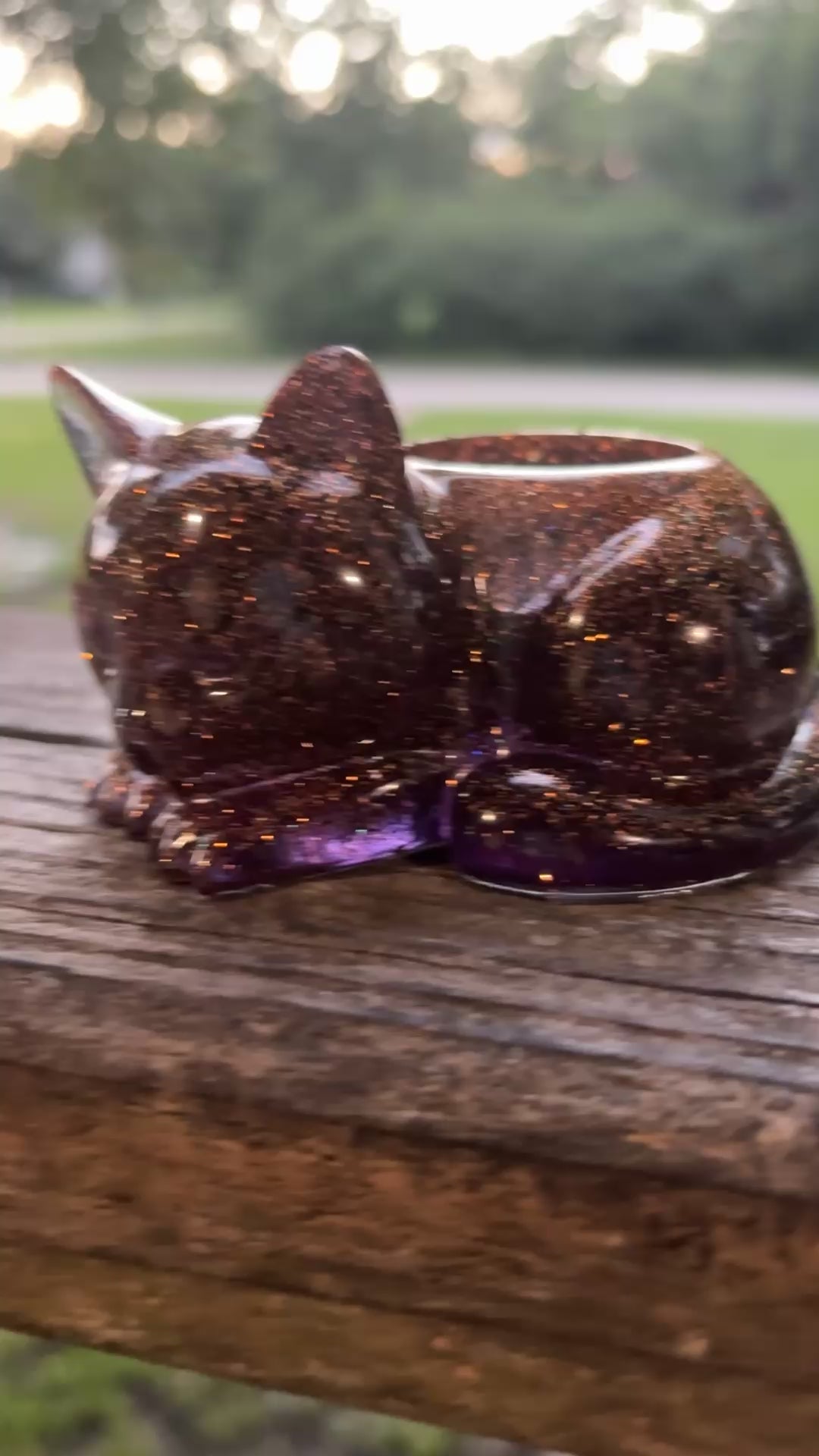 Halloween Cat